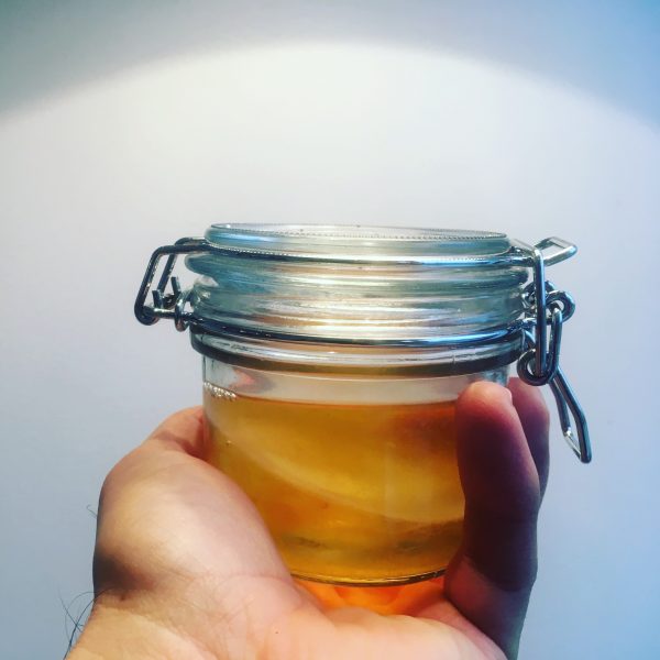 kombucha, scoby, komkombucha, kombuchakultur, tesvamp, probiotisk