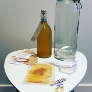 kombucha starterkit, kombucha