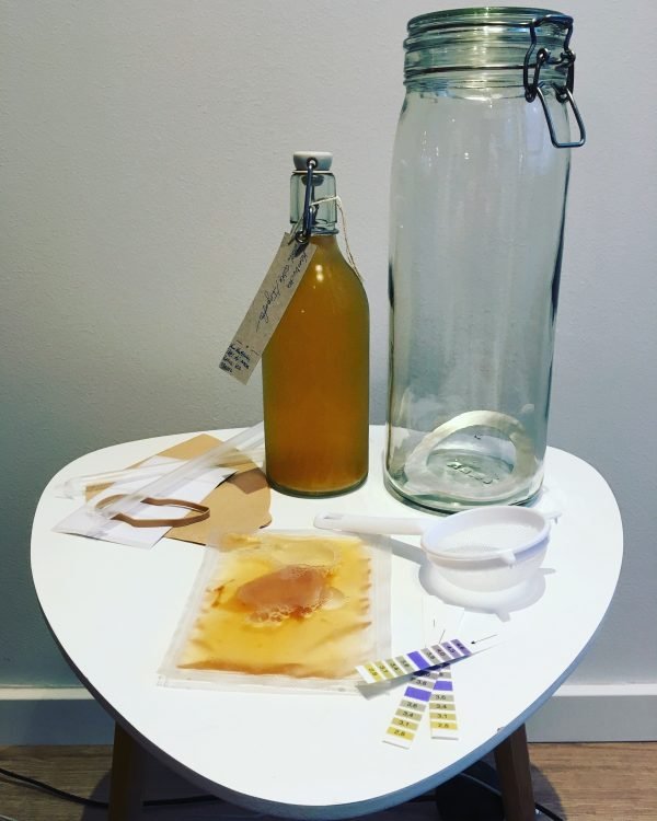 kombucha starterkit, kombucha