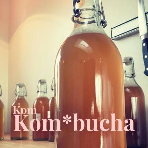 kombucha, starterkit, kombuchabog, ebog, scoby